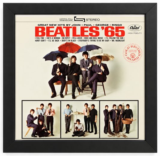 12" LP Record Album Frame for Sleeve