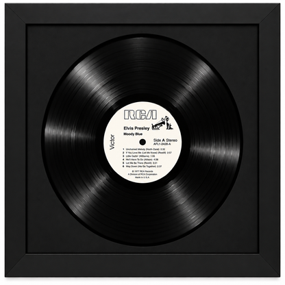 12" LP Vinyl Record Album Frame