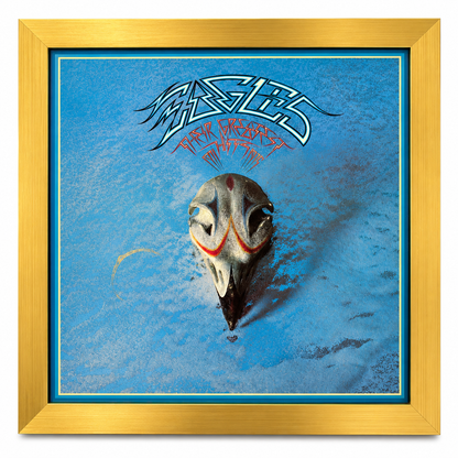 12" LP Record Album Frame for Sleeve