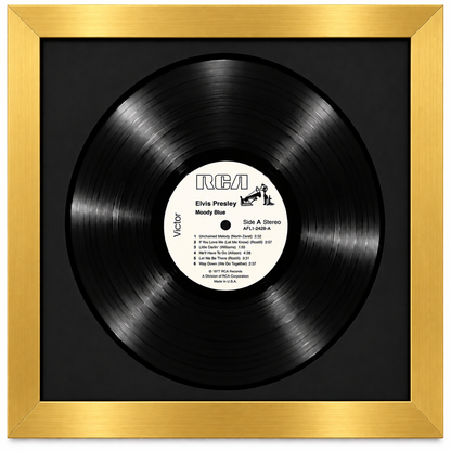 12" LP Vinyl Record Album Frame