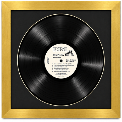 12" LP Vinyl Record Album Frame
