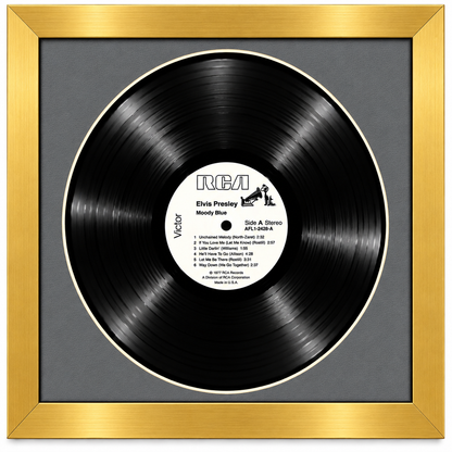 12" LP Vinyl Record Album Frame