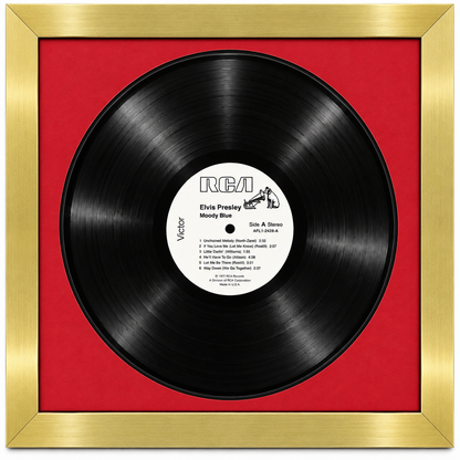 12" LP Vinyl Record Album Frame
