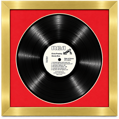 12" LP Vinyl Record Album Frame