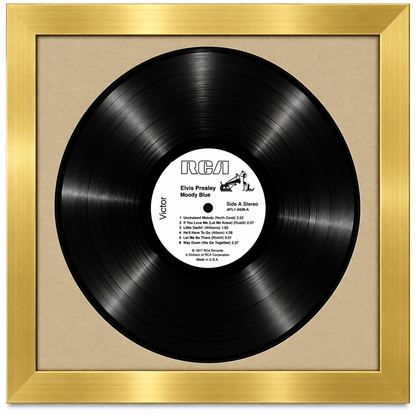 12" LP Vinyl Record Album Frame