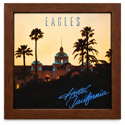 12" LP Record Album Frame for Sleeve