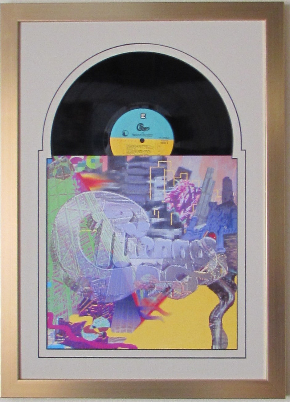 12" LP Vinyl or LaserDisc Frame with Sleeve, Jukebox style - Frame My Collection