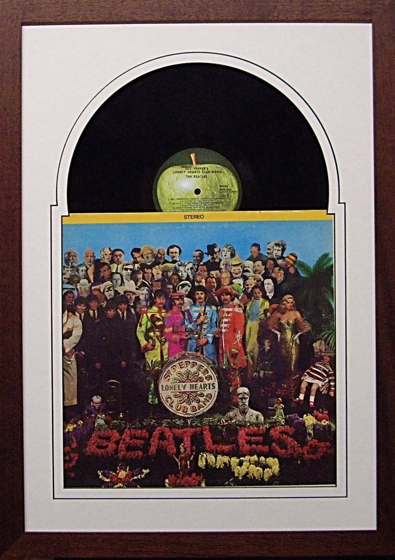 12" LP Vinyl or LaserDisc Frame with Sleeve, Jukebox style - Frame My Collection